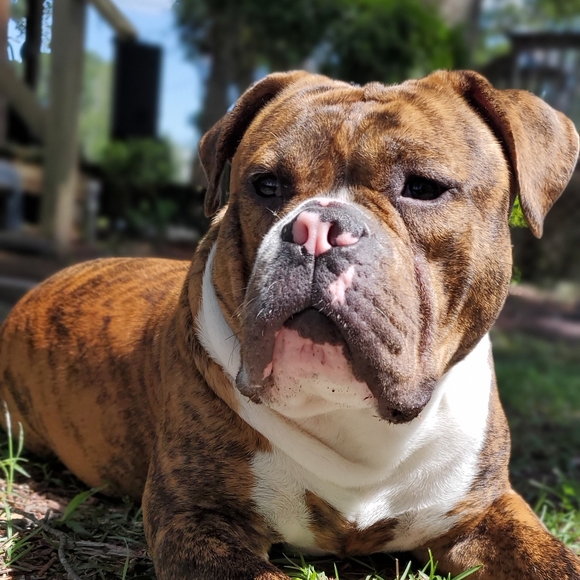 Meet your Posher, Cassondra - Picture 3 of 4